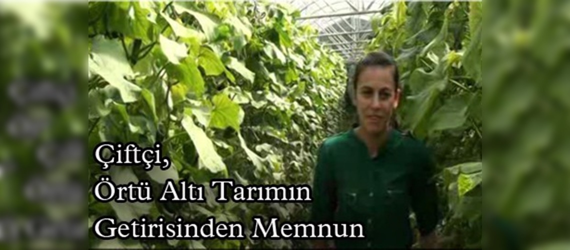 Kahramanmaraşlı üreticiler seracılığı sevdi