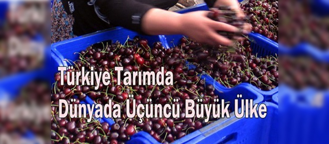 Türk tarımı dünya yıldızı olma yolunda!