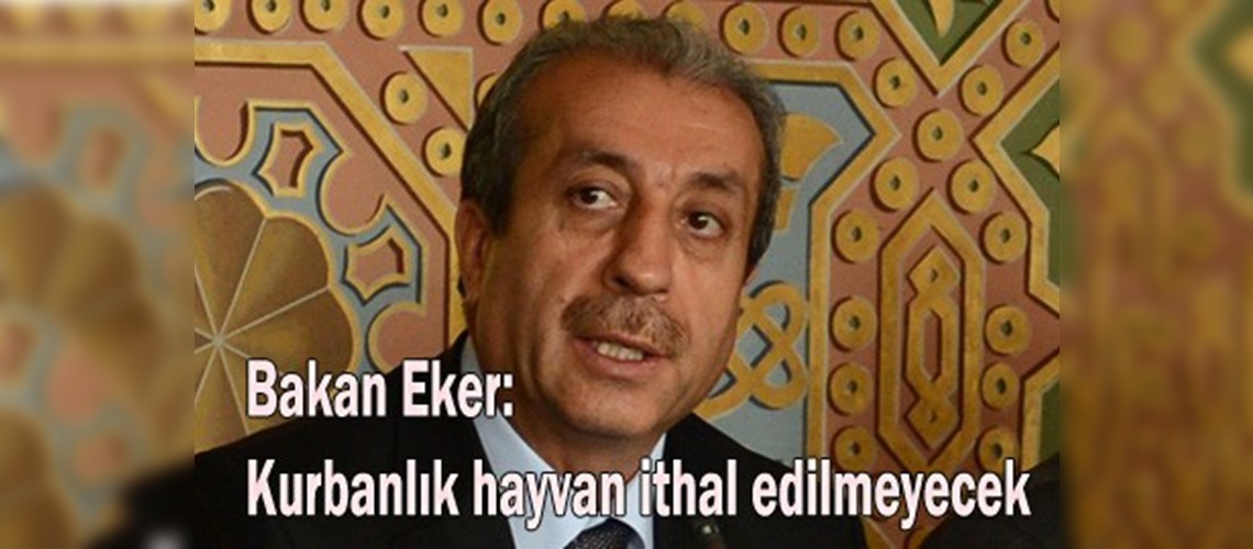 Okul sütü devam edecek, bu yıl kurbanlık hayvan ithal edilmiyor