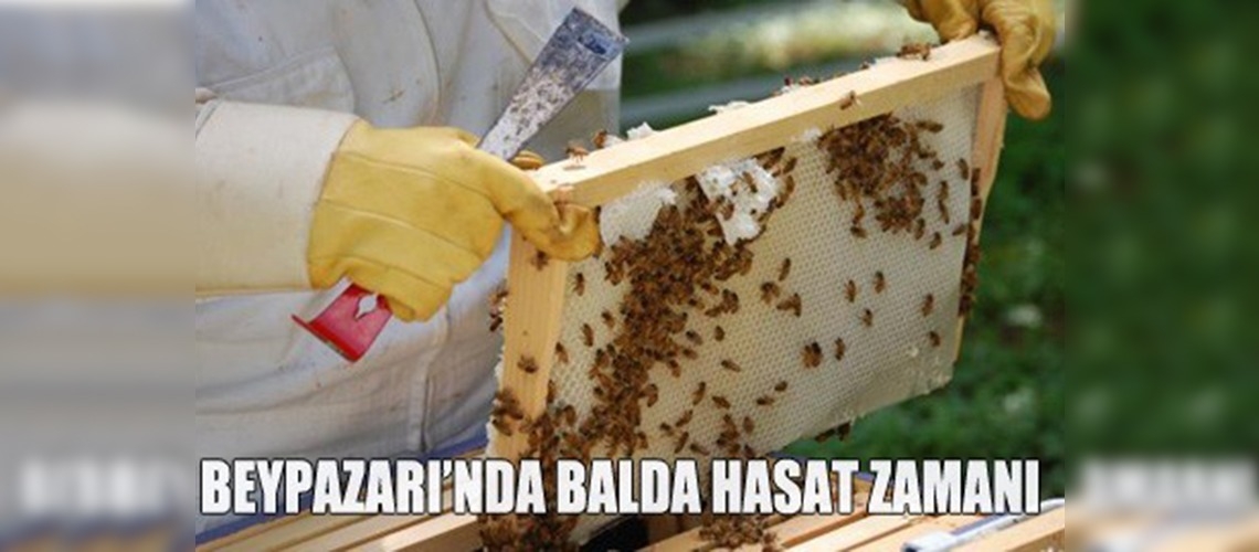 Yaz sıcaklığı bal verimini etkiledi