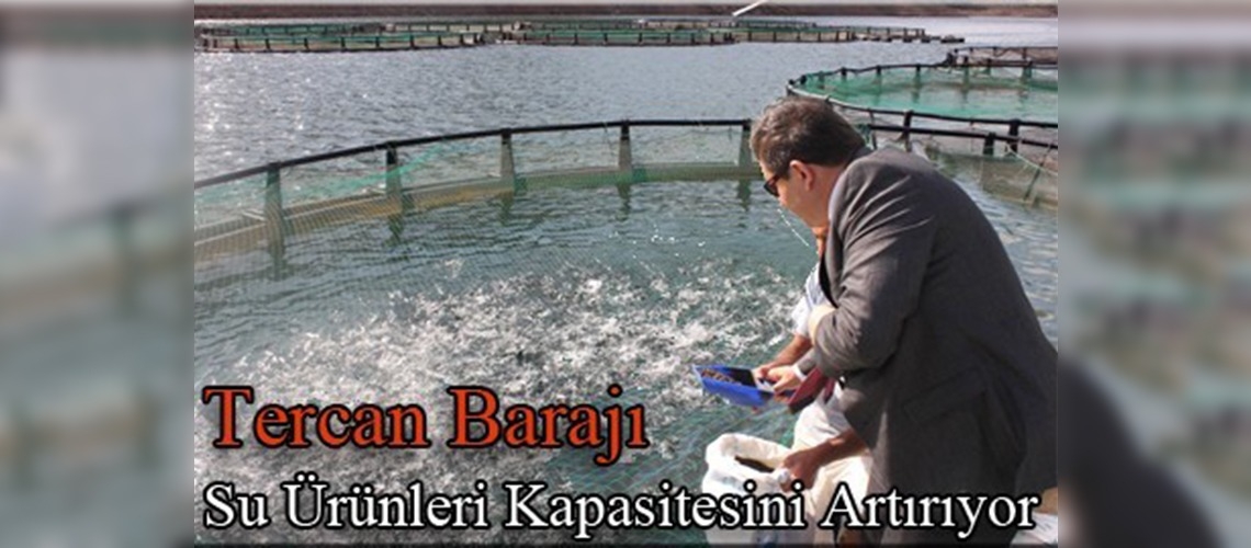 Erzincandan Almanyaya balık ihracatı