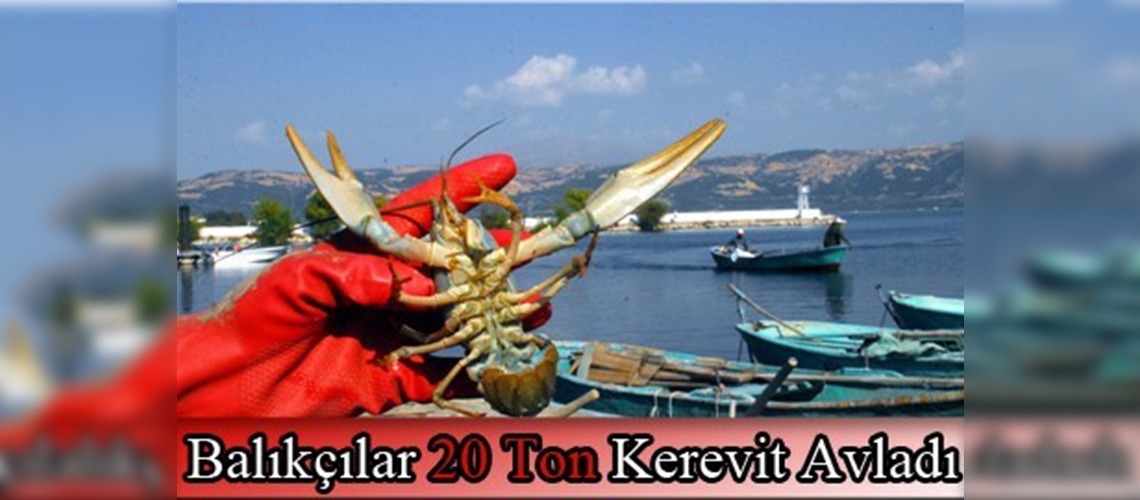 Eğirdir'de balıkçılar 20 ton kerevit avladı