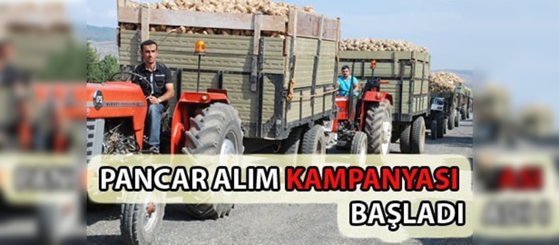Kastamonuda pancar alım kampanyası başladı