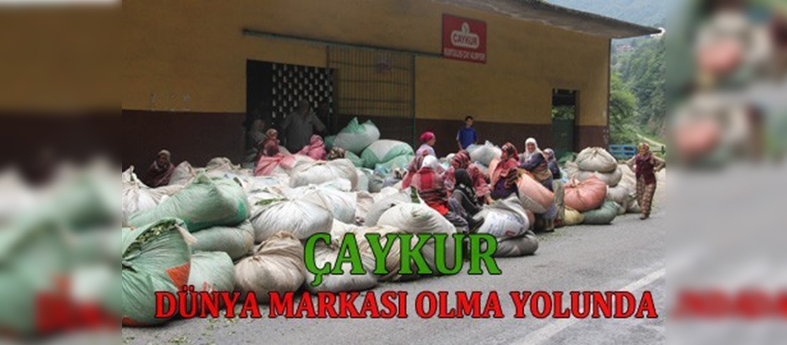 Kurumun 2023 hedefi 50 bin tonluk dış pazar