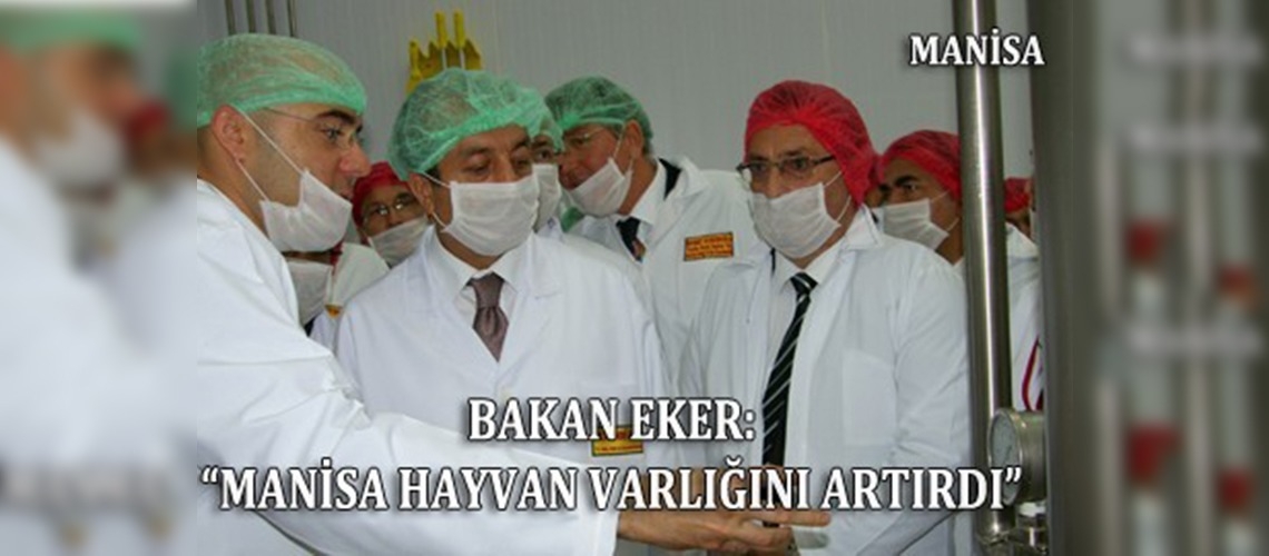 Manisa, ürettiği beyaz eti ve yumurtayı ihraç ediyor