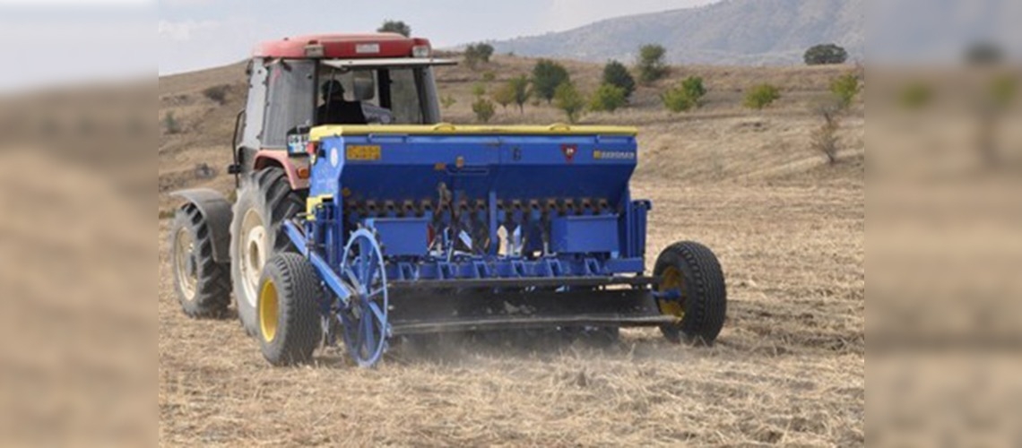 Ankarada anıza ekim yöntemi yaygınlaşıyor