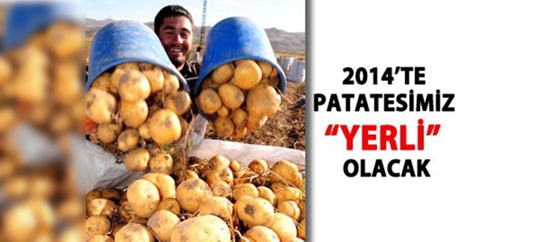 2014te patatesimiz yerli olacak