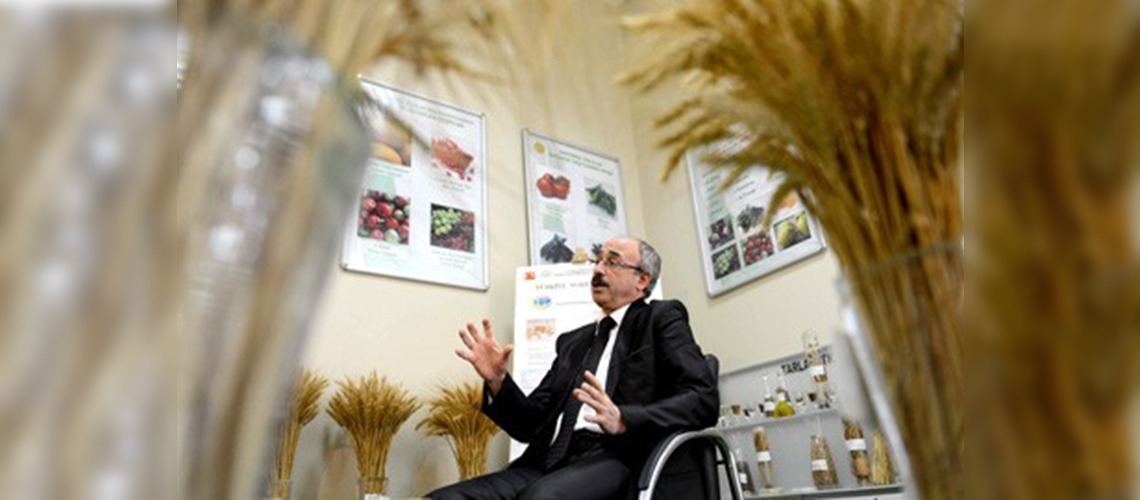 Bitkiler koruma altında