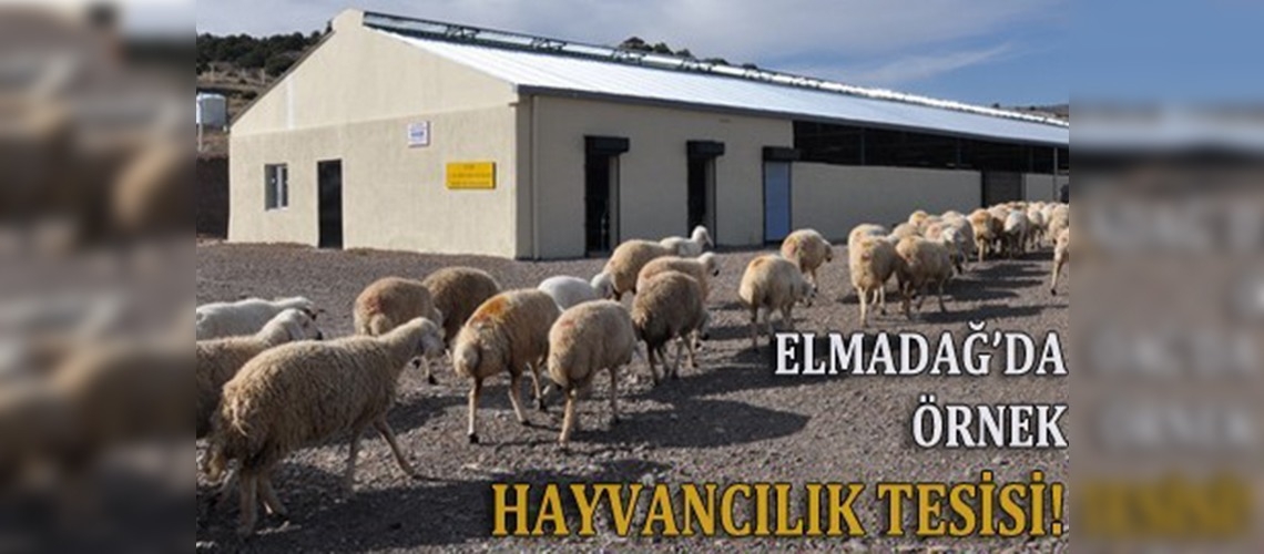 Kırsal yatırımlar artıyor, tarım gelişiyor