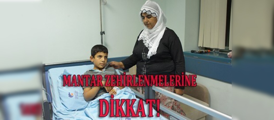 Yabani mantarlar zehirliyor