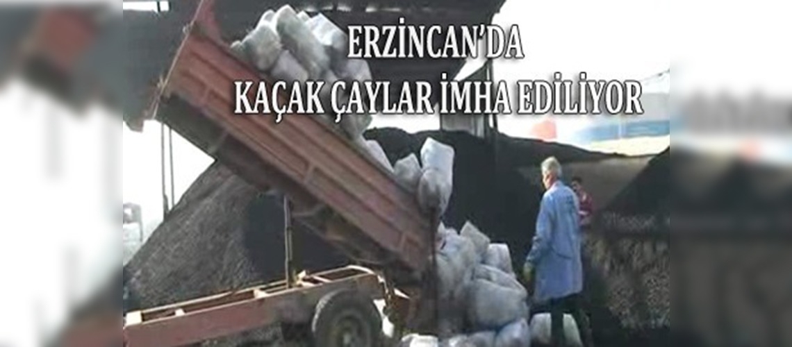 Erzincanda kaçak çaylar imha ediliyor