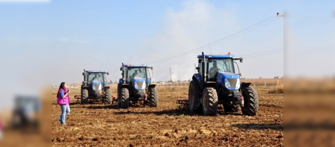 Tigem, Suriye sınırında ekimi bürdürüyor