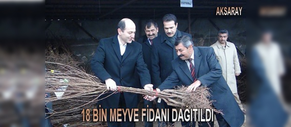 18 bin meyve fidanı toprakla buluşacak