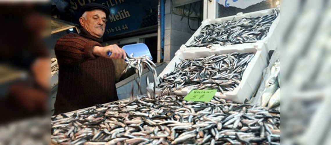 Denizde hamsi ve istavrit bereketi!