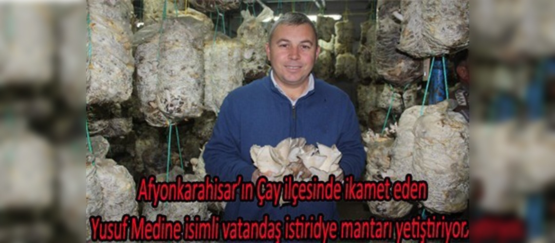 Bu mantar başka mantar                                                       Bu mantar başka mantar                                                                                                                                     