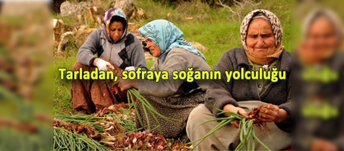 Mersinde soğancı köy