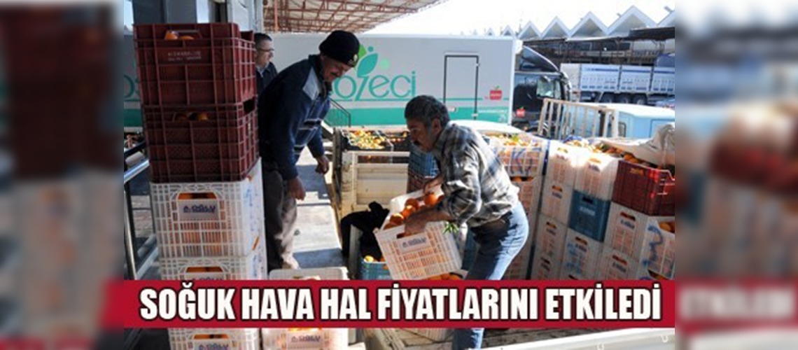 Kar, meyve ve sebzede fiyatları artırdı