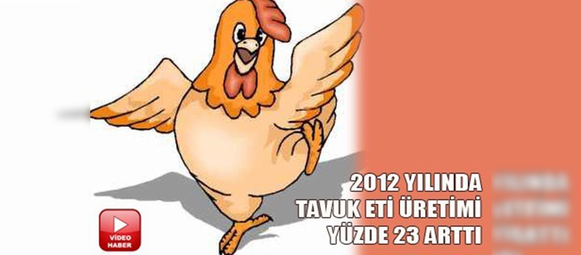 Tavuk eti üretimi yüzde 23 arttı