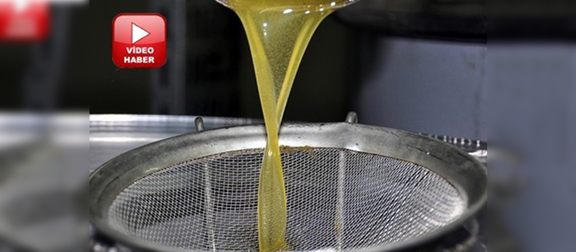 Portakallı bergamotlu zeytinyağı üretildi 