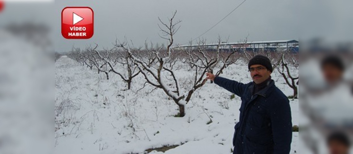 Kar yağışı Çanakkalede kiraz üreticisinin yüzünü güldürdü