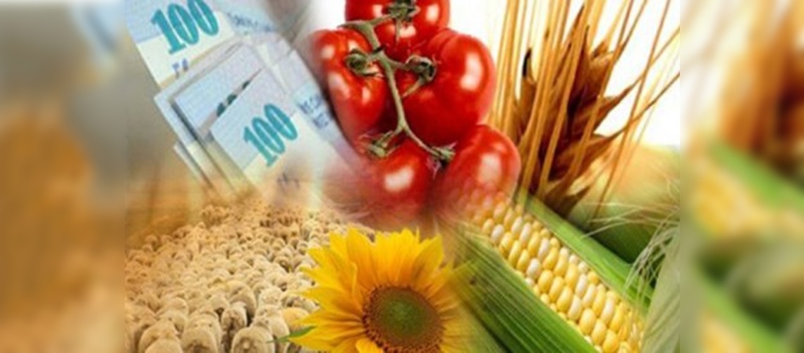 Çiftçiye Ocak'ta 253,5 milyon liralık destek