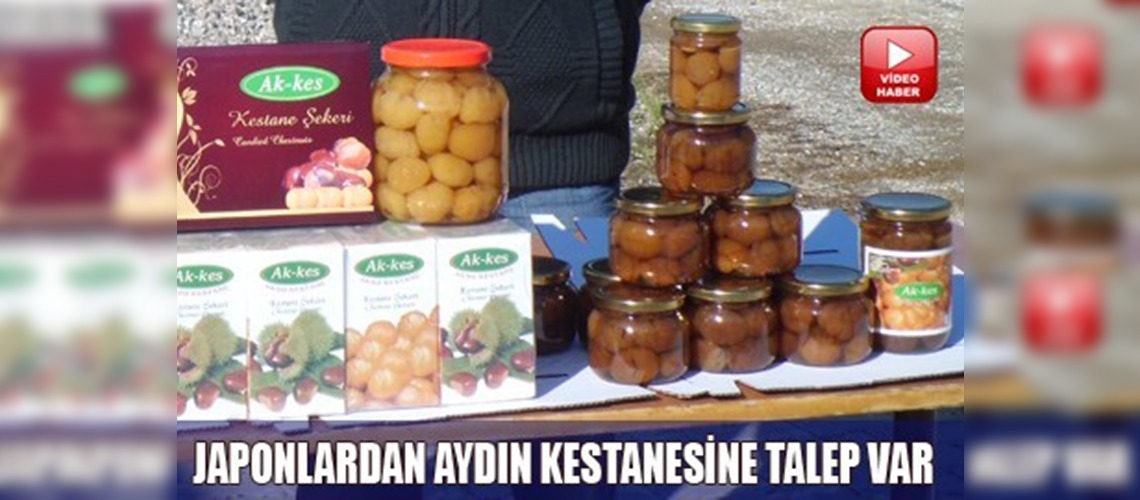 Japonlar, Aydın kestanesini sevdi