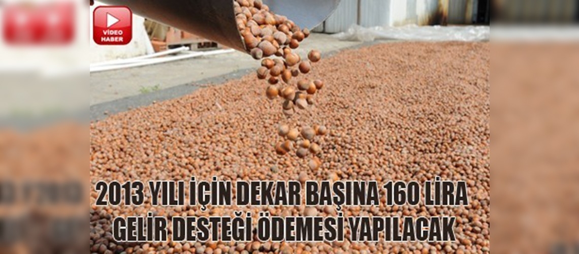 Fındık üreticilerine iyi haber