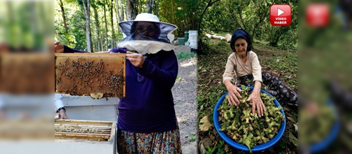 Bal ve fındığa verilen destek üreticinin yüzünü güldürdü