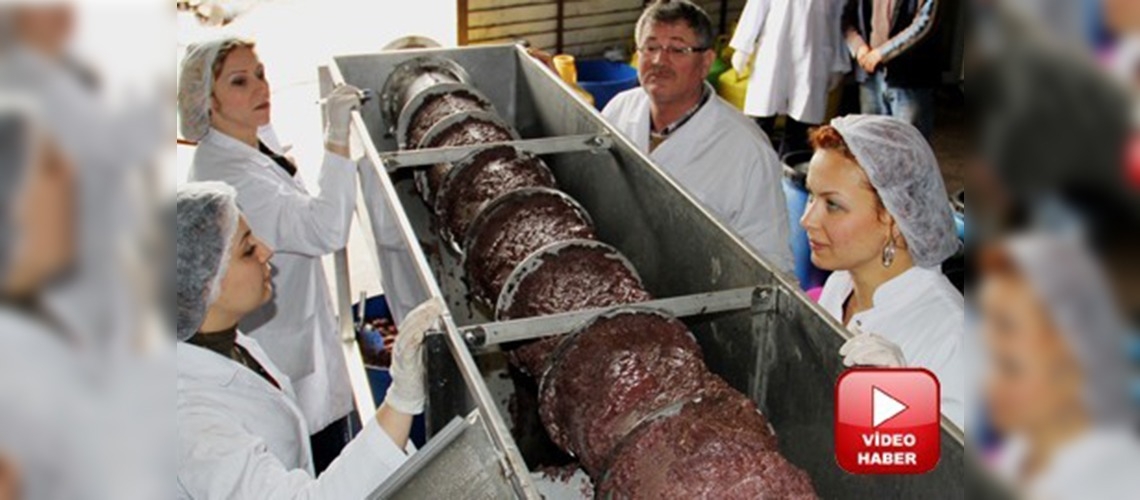 Zeytincilikte örnek proje