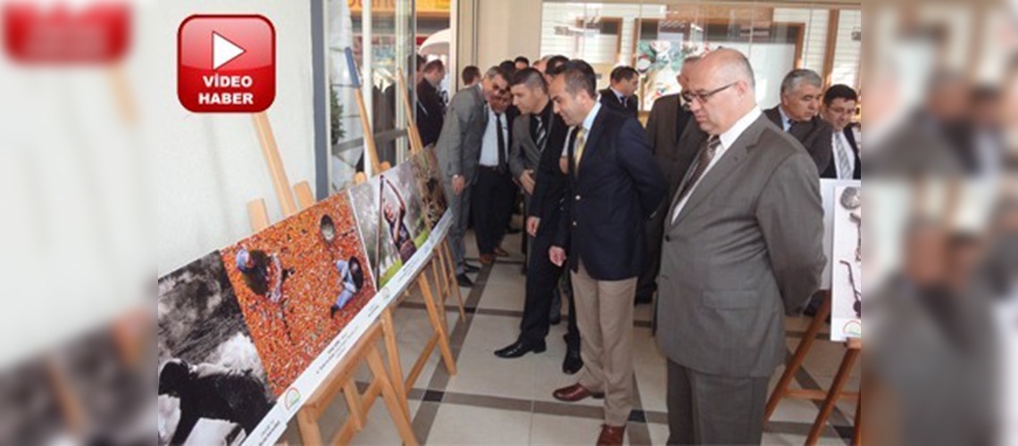 Tarım ve İnsan Aydında