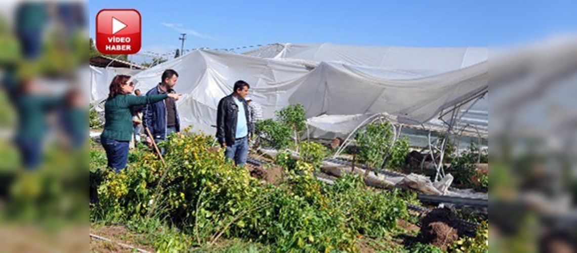 Mersindeki hortum bilimsel araştırma seralarını yıktı