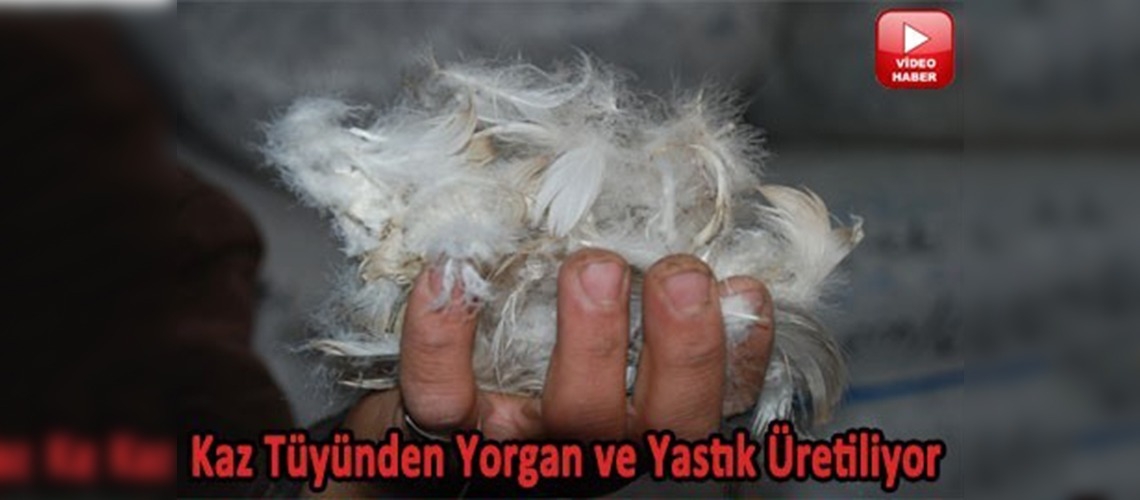 Kars'ın ''kaz tüyü'' Almanları ısıtacak