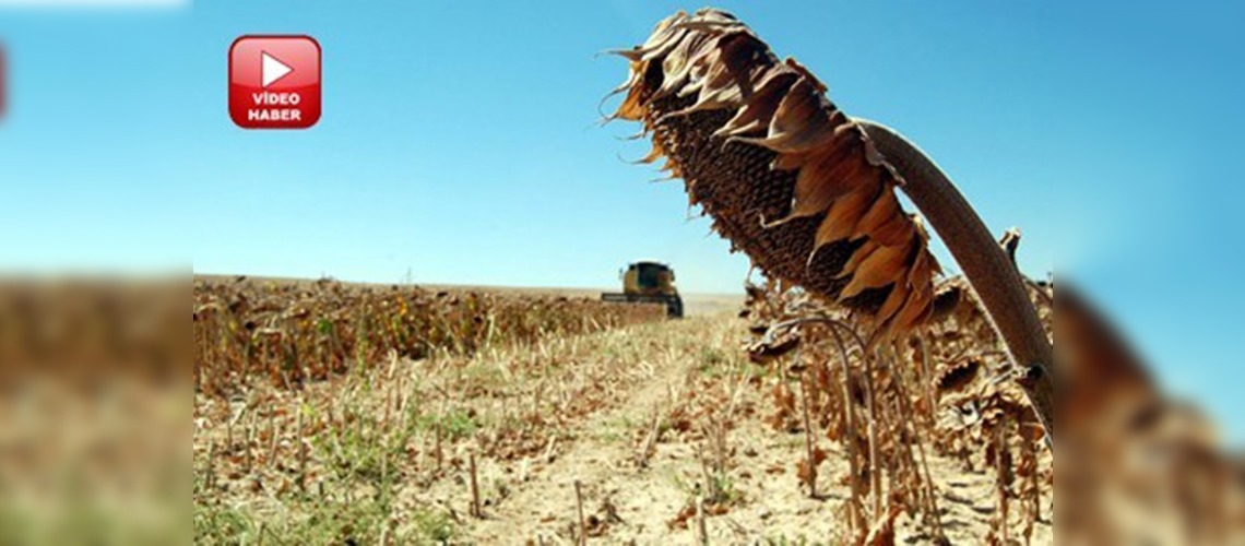 Üreticiler, bazı ürünlerde 31 Mayısa kadar destek başvurusunda bulunabilecek