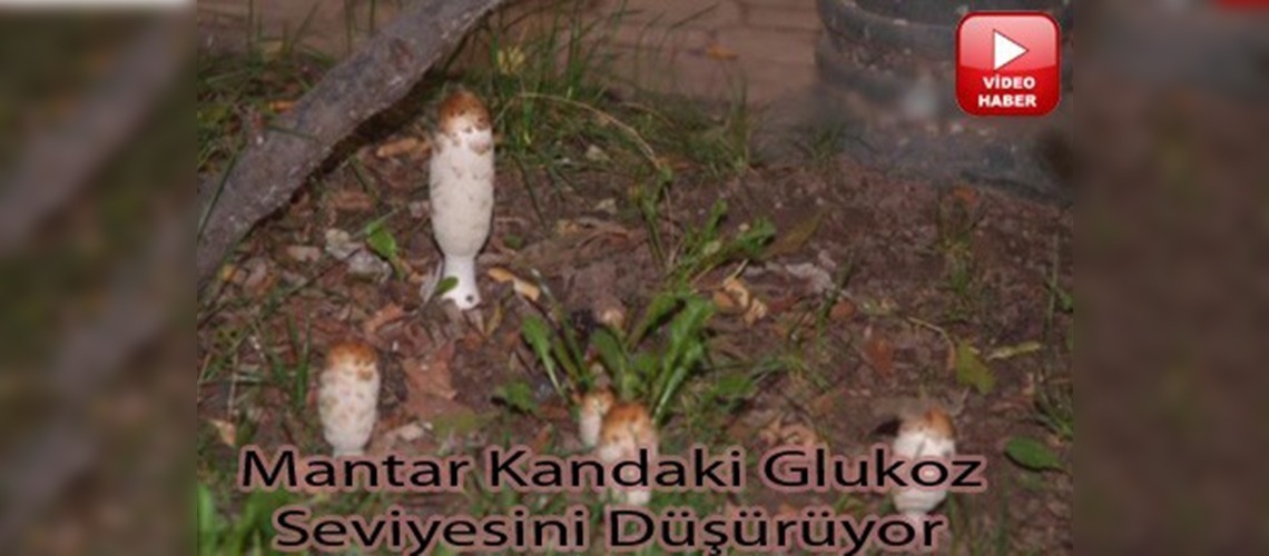 ''Mantar'' deyip geçmeyin