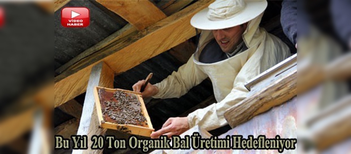 Organik bala talep artıyor