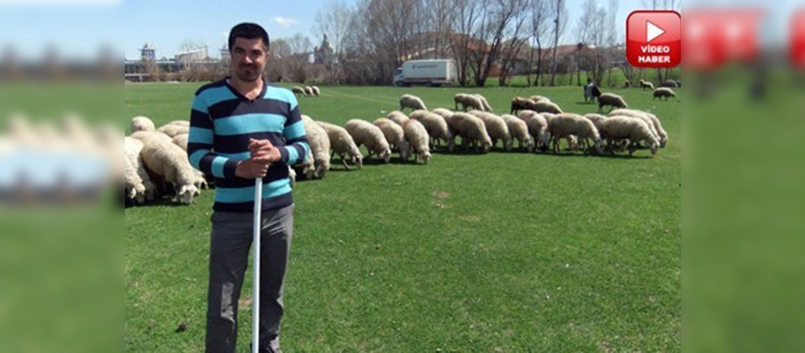 Kütahyada süt ihracatı sevinci