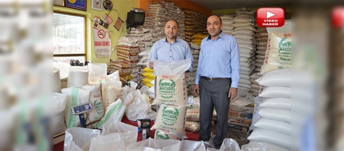 Pirinçte GDO iddialarına Tosyalı üreticiler de tepkili 