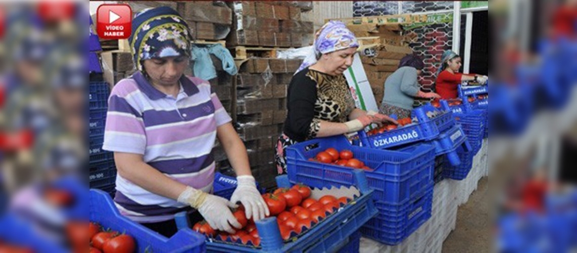 Güneşi gören sebze  meyvede  fiyatlar düştü