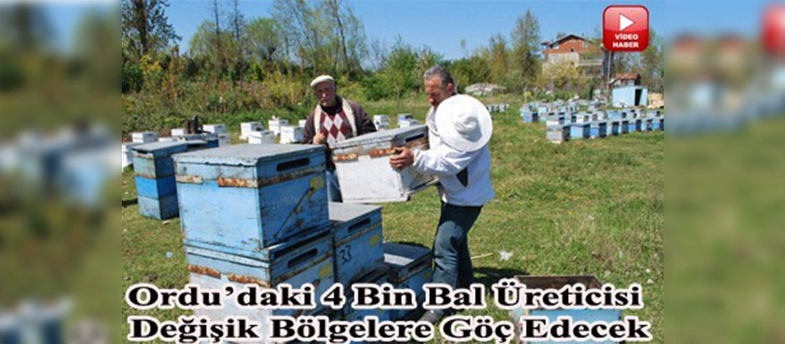 Bal üreticilerinin 