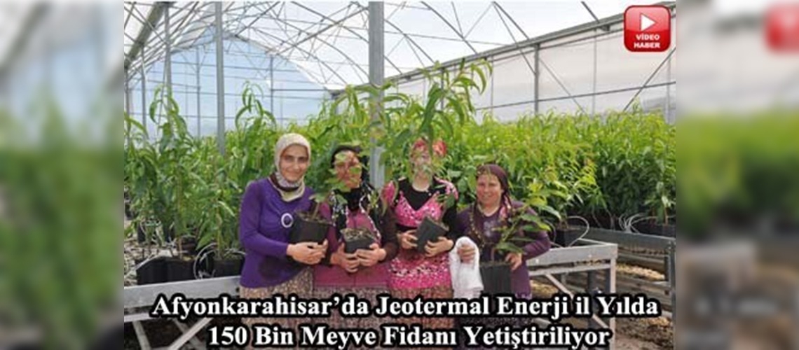 Topraksız tarımla meyve fidanı üretildi 