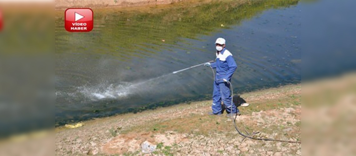 Kırım Kongo Kanalamalı Ateşi hastalığı vakalarında azalış