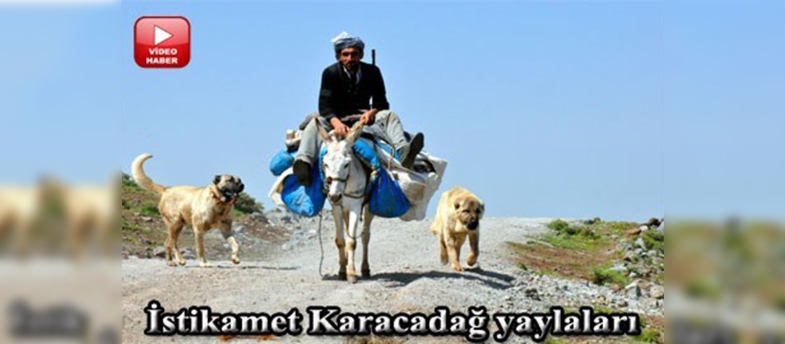 Göçerlerin yayla göçü