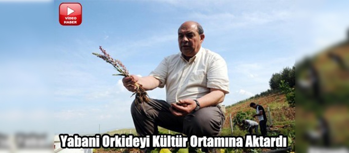 Maraş dondurması için orkide yetiştirecek