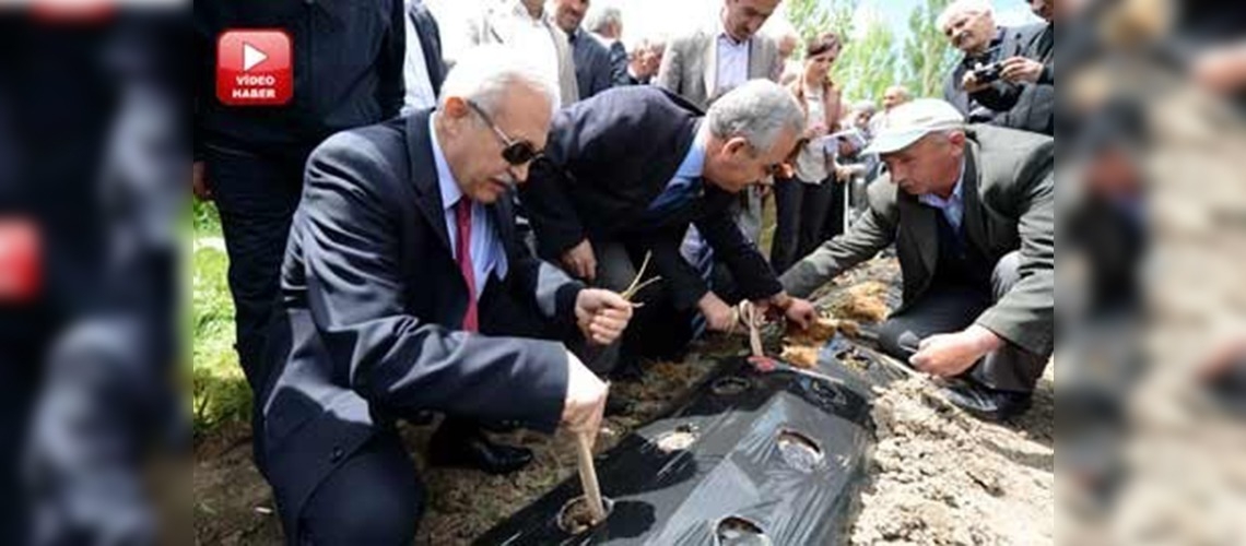 Sivas'ta organik tarıma destek