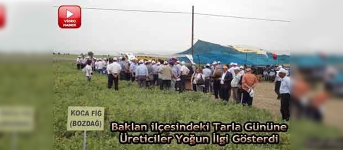 Denizlide Yem Bitkileri Tarla Günü yapıldı