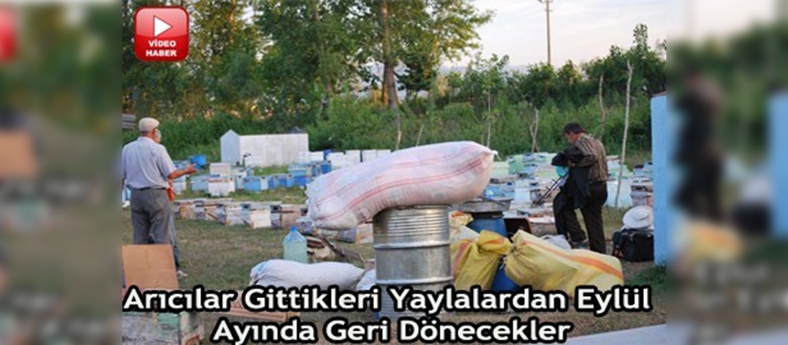Karadenizli arıcılar göç yolunda 