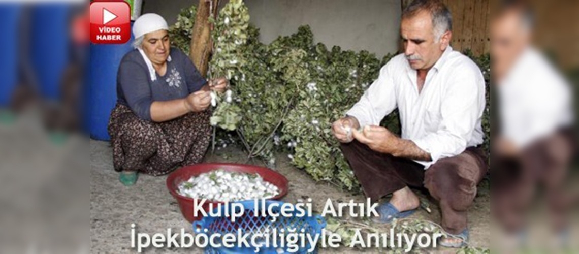 Diyarbakır, ipek üretiminde lider oldu