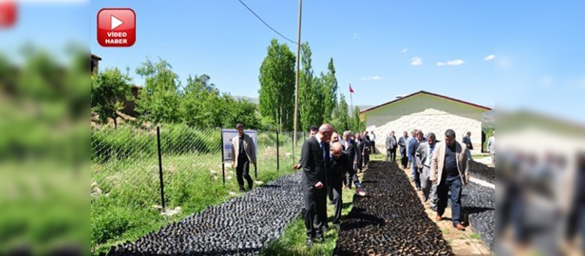 Hizan fıstık fidanı yetiştirme tesisine kavuştu