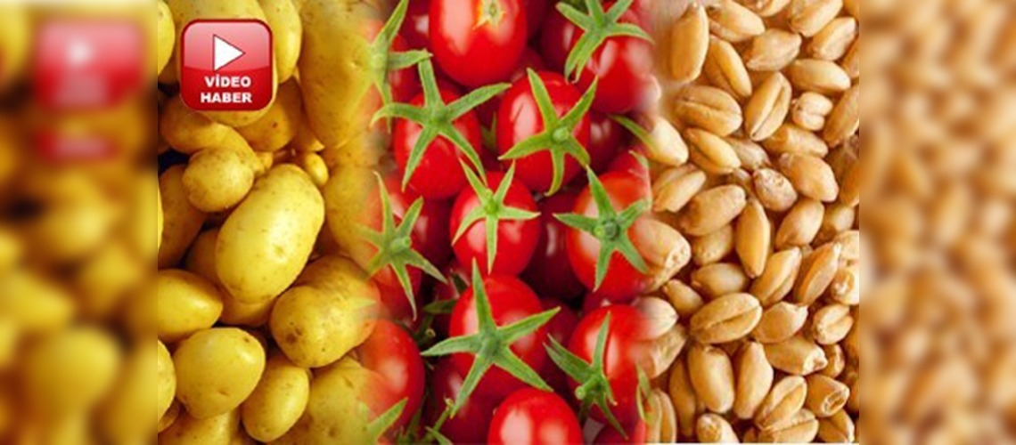 En çok buğday, domates ve patates tükettik