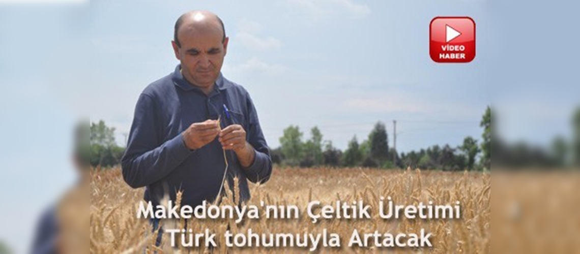 Makedonya'ya çeltik desteği 